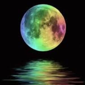 Meet your Posher, Misty